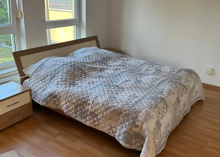 Schöne Für Tagesgäste, Studenten Oder Handwerker, Gablenz, öpnv Direkt Vor Der Tür, Internet&tv Inkl Apartment *